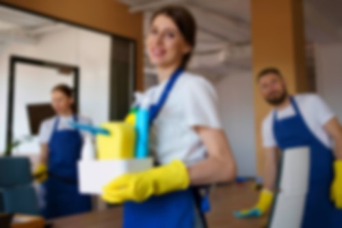 view-professional-cleaning-service-person-holding-supplies-1-1.jpg